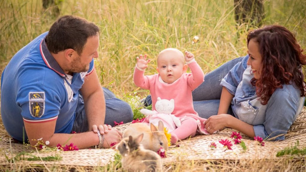 A family enjoying a picnic outdoors with their baby and rabbits.